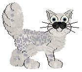 Krunchez' Fashion Forward at Vanilla — “Ondine”