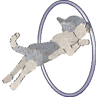 FDL/Calluna's Provence Lavender — “Movenpick”