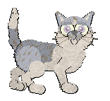 Profile image of FDL/Calluna's Provence Lavender