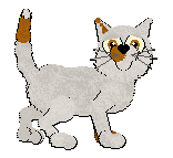 Profile image of Cargo/Calluna's Orange Dreamsicle