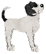 Sz/Poppyhill's Alix of Hesse — “Tsarina”