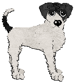 Profile image of Sz/Poppyhill's Alix of Hesse