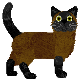 Fauvelle's Black Velvet — “Bagheera”