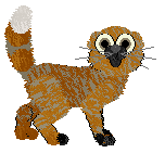 SeaGlass's Supposedly a Cat — “Zoong”