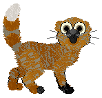 SeaGlass's Supposedly a Cat — “Zoong”