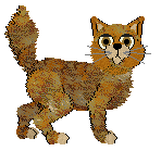 SeaGlass's A Matter of Perspective — “Proportion”