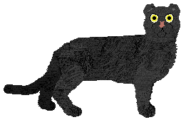 Profile image of PH's Black Velvet