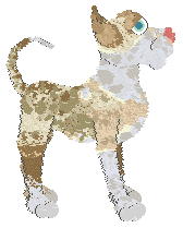 Perfume/APK's Whirlpool — “Seamist”