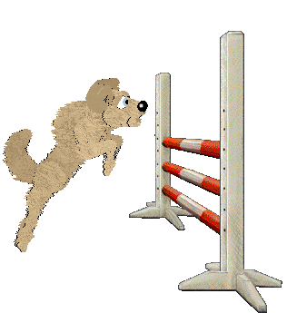 Cirrutopia's Cunning One — “Slytherin”