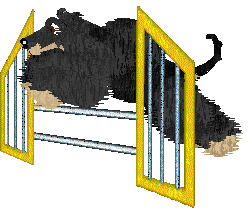 Cirrutopia's North Wind — “Shamal”