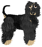 Profile image of Cirrutopia's North Wind