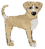 Blep's Refracted Light of NMDK — “Prism”