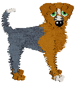 Blep's Party Time at NMDK — “Mixer”