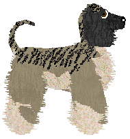 Profile image of Cirrutopia's Breeze