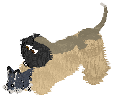 Cirrutopia's Maiden Of Flame — “Adara”