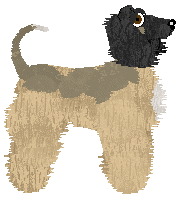 Cirrutopia's Maiden Of Flame — “Adara”