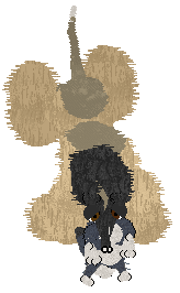 Cirrutopia's Maiden Of Flame — “Adara”