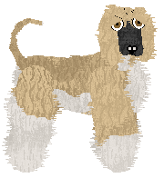 Cirrutopia's Böhm Style — “Böhm”