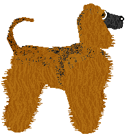 Cirrutopia's Sweetest Rhyme — “Dari”