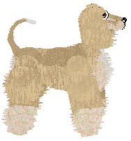 Cirrutopia's There's Something About Kerry — “Kerry”