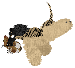 Cirrutopia's Altar of Peace — “Ara”