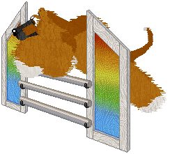 Cirrutopia's Spoken Word — “Barthélemy”