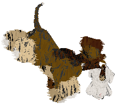 Cirrutopia's Rocky Road To Dublin — “Dublin”