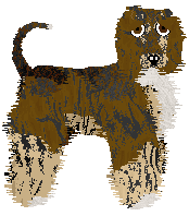 Profile image of Cirrutopia's Rocky Road To Dublin