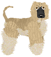 Cirrutopia's Hardiman The Fiddler — “Dorian”