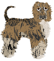 Cirrutopia's Double Decker — “Decker”