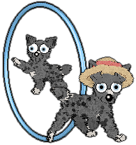 Profile image of Charmme/Witz's Teenage Dirt Bag, Baby