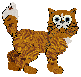 EC's I'm on Fire — “Fuego”