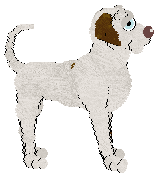 Poppyhill/Eli's Blue Seas and Laraha Oranges — “Curacao”