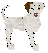 Poppyhill/Eli's Blue Seas and Laraha Oranges — “Curacao”