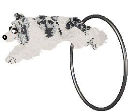 Come Bye’s High Drive — “Driven”