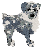 Medusa In Flanders Field — “Flemish”