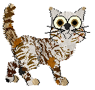 PH's Crazy Darn Fool Duck — “Daffy”