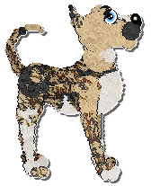 Profile image of Amenity Shelter From The Storm