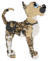 Amenity Shelter From The Storm — “Stormlet”