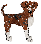 Sz's Eldest Boy — “Kendall”