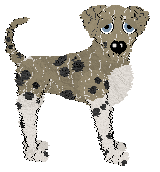 Profile image of Sz's What Goes Around Comes Around