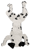 DARKNESS Live in Peace — “Siris”