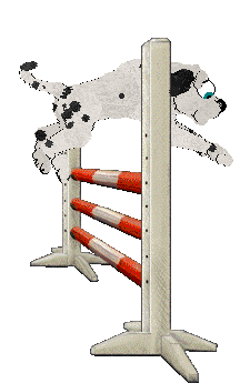 DARKNESS Live in Peace — “Siris”