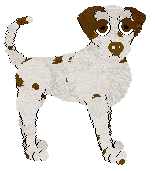 Profile image of DARKNESS Sound of the Sky