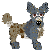 Funfetti Rolling The Dice — “Pointelle”