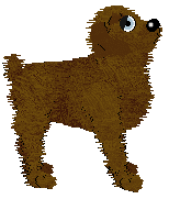 NSP's Delicious Confections — “Truffles”