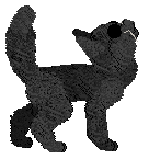 Profile image of SeaGlass's Midnight Noodles