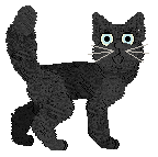 SeaGlass's Midnight Noodles — “Kiba”