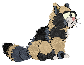 Profile image of SeaGlass's Ear of Corn