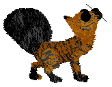 Profile image of SeaGlass's Le Tigre de Panache